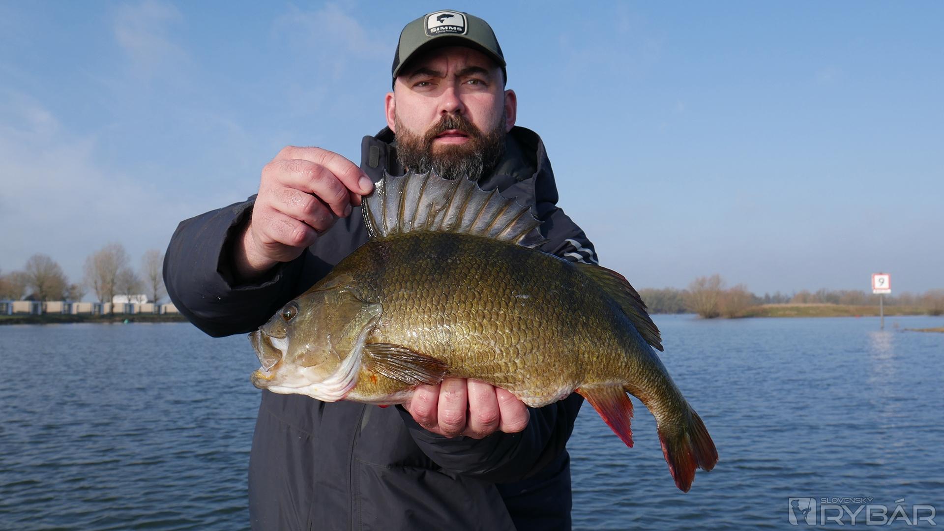 Najväčší ostriež výpravy, Dávidov ostriež – 52 cm!